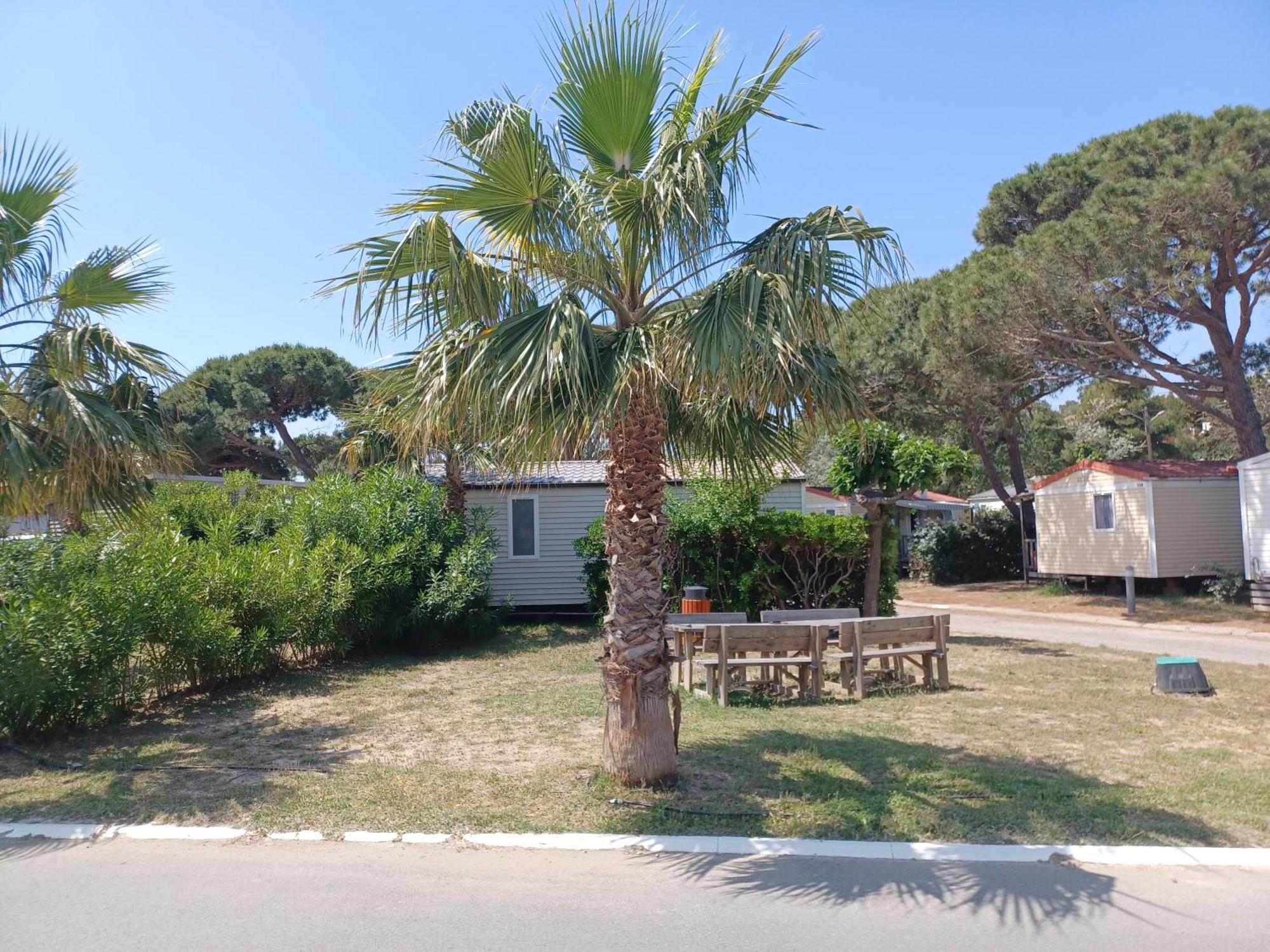 Mobil-Home Pour 6 Personnes Narbonne Dış mekan fotoğraf